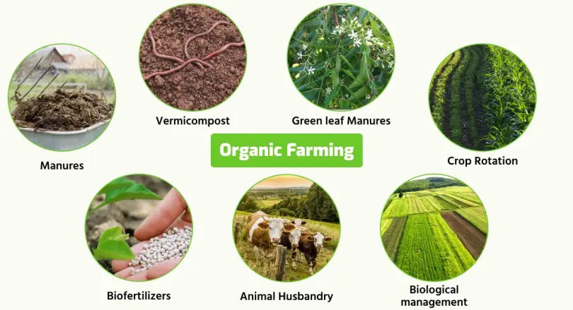 Organic Farming