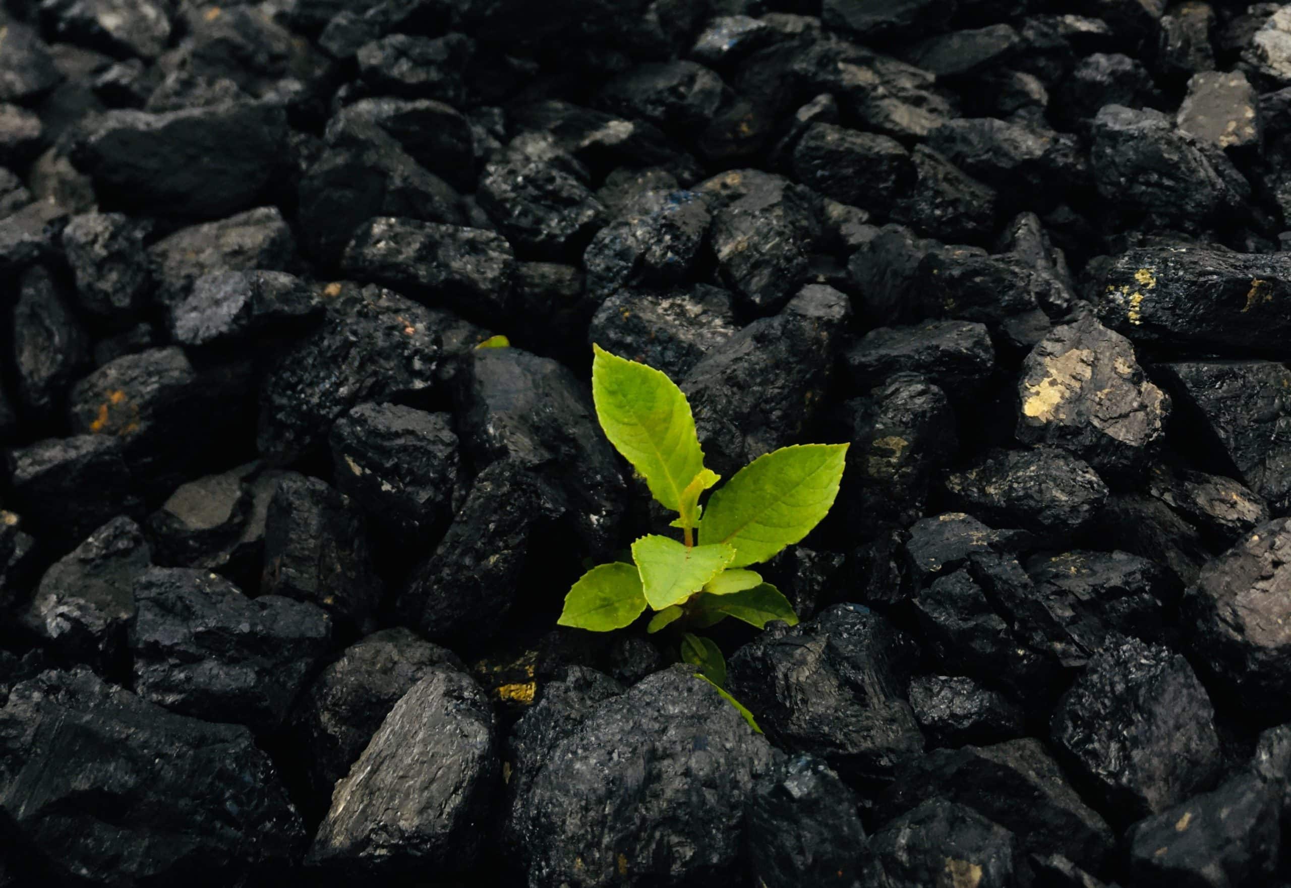 Biochar and its uses – Khethari