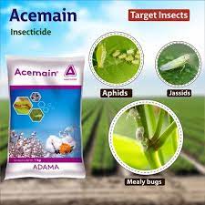 Acemain Insecticide