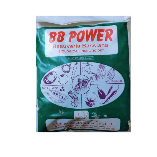 BB POWER (BEAVERIA BASSIANA) - Khethari