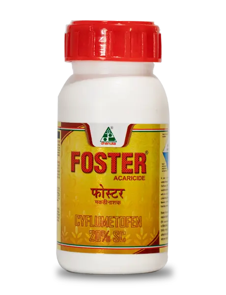 FOSTER INSECTICIDE