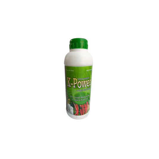 K-Power-Potash mobilizing bacteria promotes healthy growth of the plant.