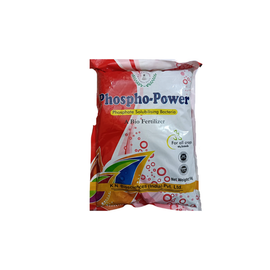 Phospho power (Phosphate solubilising Bacteria PSB).