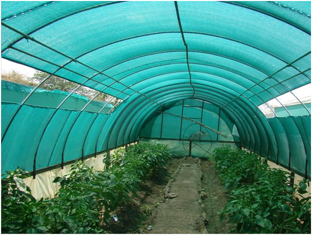 SHADE NETS 50% 3 x 50mts - 10 pieces - Khethari