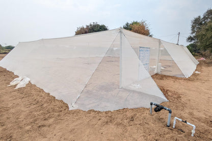 Grow Your Own Vegetables with a Shade Net House