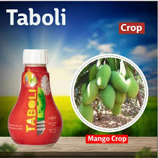 TABOLI PLANT GROWTH REGULATOR