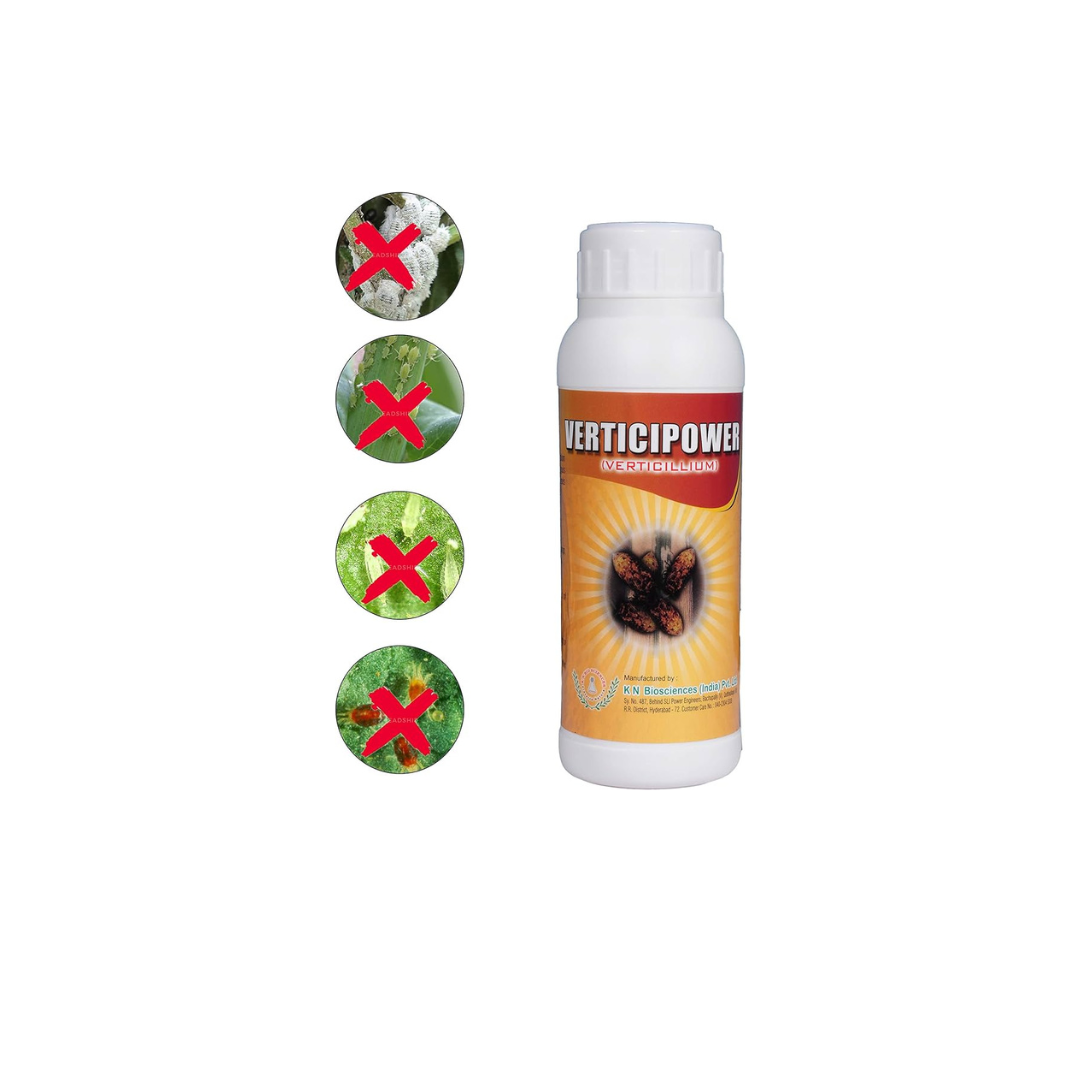VERTICI POWER (VERTICILLIUM LECANI)-Acts against Mealy bug, Aphids, thrips & mites - Khethari