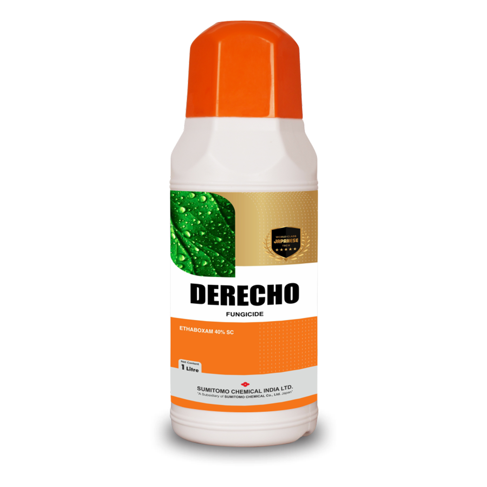 DERECHO FUNGICIDE