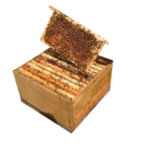COMPLETE BOX SET WITH HONEYBEES - Khethari